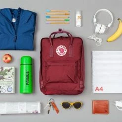 Goedkoopste 💯 Fjallraven Fjällräven Kånken Unisex Rugzak - Blue Ridge 🎉 -Reisbagage-Reisaccessoires Winkel 550x341 8