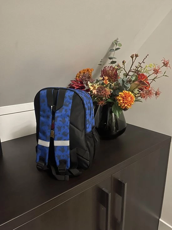 Top 10 𧨠Pokemon Pikachu Rugzak - Rugtas - Basisschool - Blauw/geel 𧨠5 Top 10 𧨠Pokemon Pikachu Rugzak - Rugtas - Basisschool - Blauw/geel 𧨠- Afbeelding 3