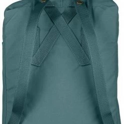 Beste Pirce 🤩 Fjallraven Fjällräven Kånken Unisex Rugzak - Frost Green ⭐ -Reisbagage-Reisaccessoires Winkel 550x832